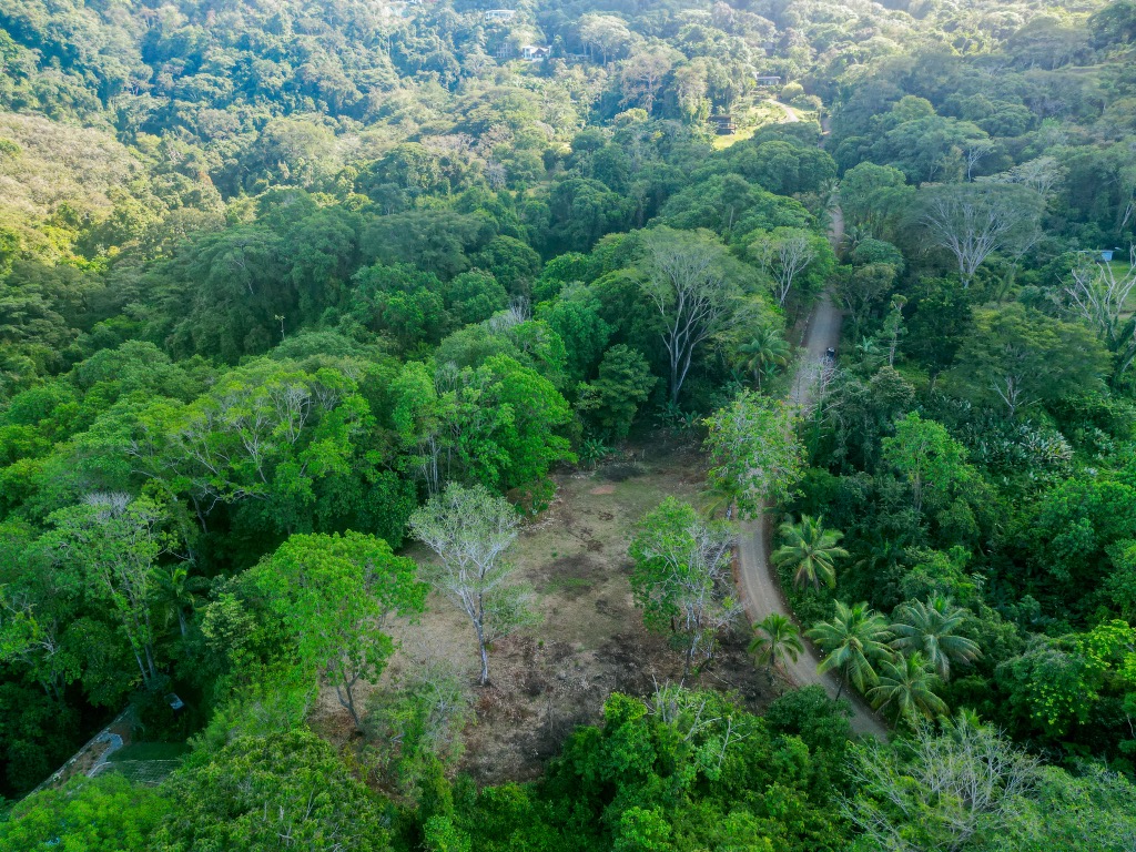 Ocean View Riverfront Acreage in Marina Vesta with Prime Building Site selected