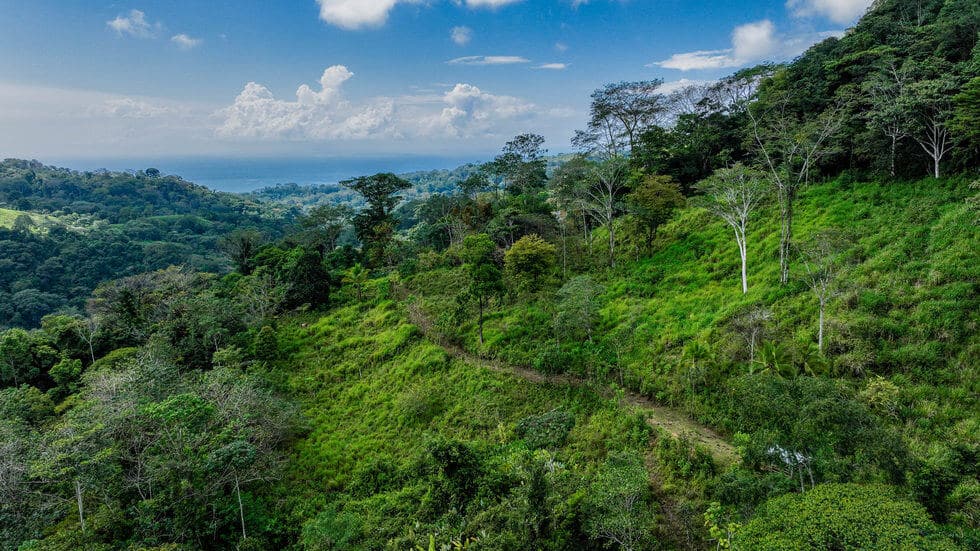 Beautiful 72 Acre Farm In Uvita With Waterfalls And Ocean Views selected