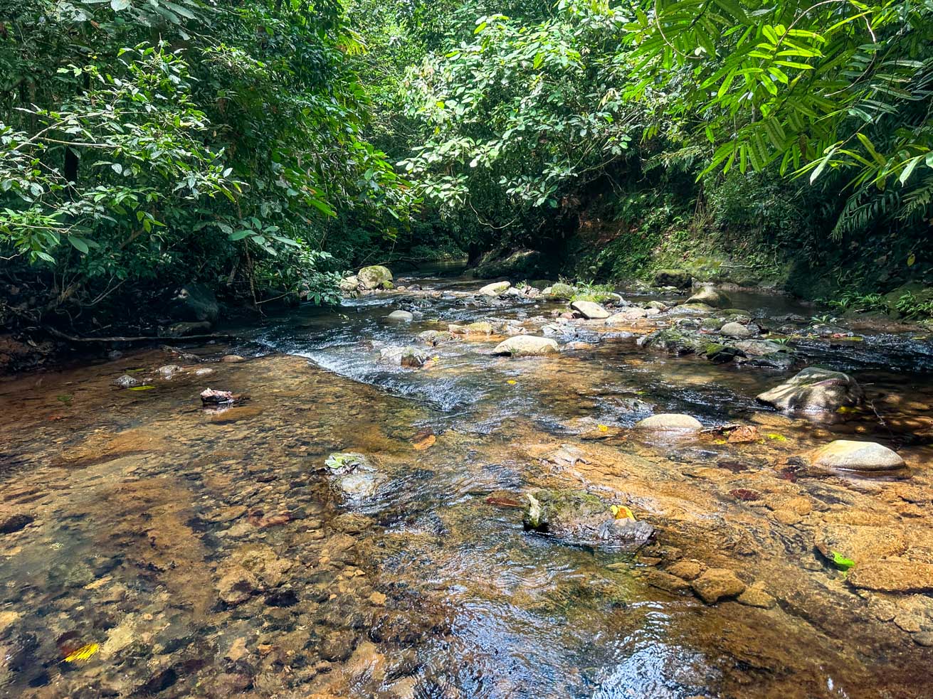 Exceptional 12-Acre Investment Property in Central Ojochal – Riverfront Jungle Estate with Home, Cabin, Workshop & Endless Development Potential selected