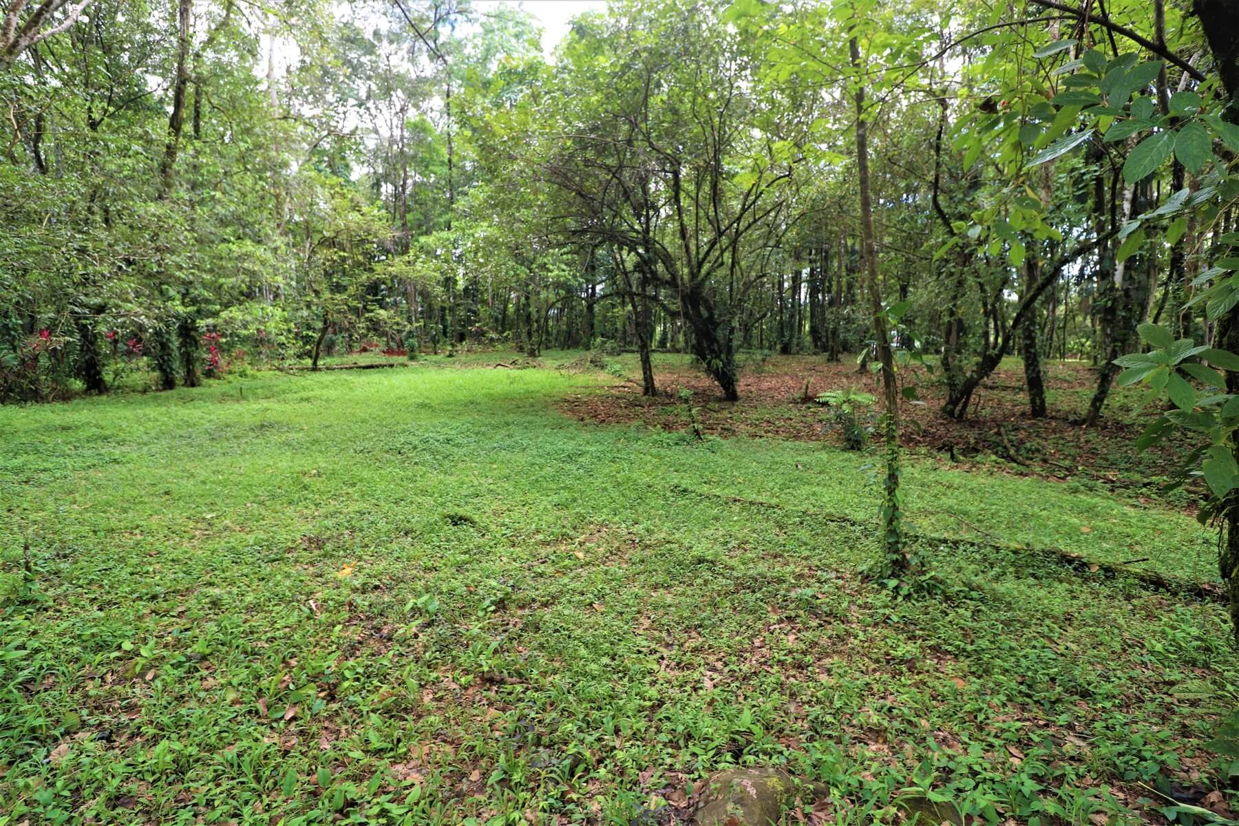 Prime Commercial Property In Uvita selected