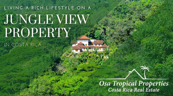 Living A Rich Lifestyle On A More Affordable Jungle View Property In Osa, Costa Rica