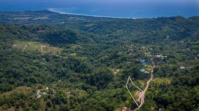 2.3-Acre Ocean View Homesite with Whale Tail Views in San Josecito image 5