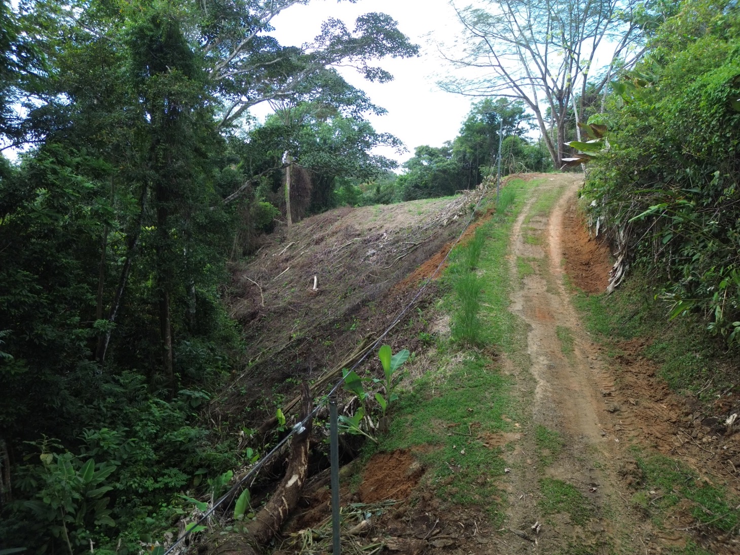 Private Jungle Sanctuary Land For Sale in Uvita, Costa Rica selected