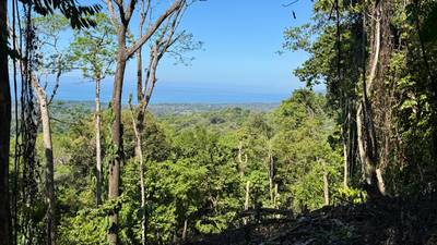 Unique Opportunity, Panoramic Ocean Views of the Whale's Tail Beach! image 4