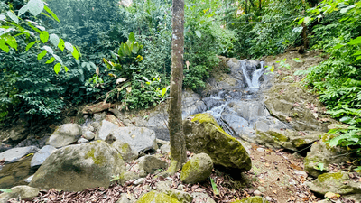 Riverside Jungle House with Waterfall Views in Ojochal, Costa Rica image 5