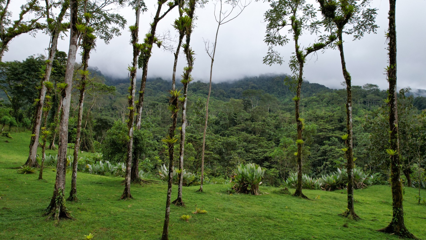 Secluded 4.5-Hectare Riverfront Oasis Near Hatillo & Dominical – Dos Bocas, Costa Rica selected