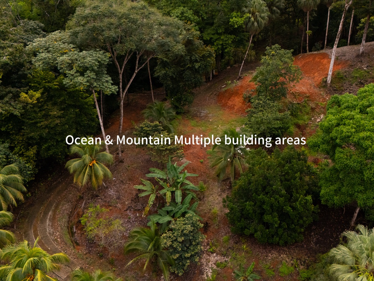 14.2 Acre Prime Commercial Property in Uvita – Highway Frontage and Unlimited Potential selected