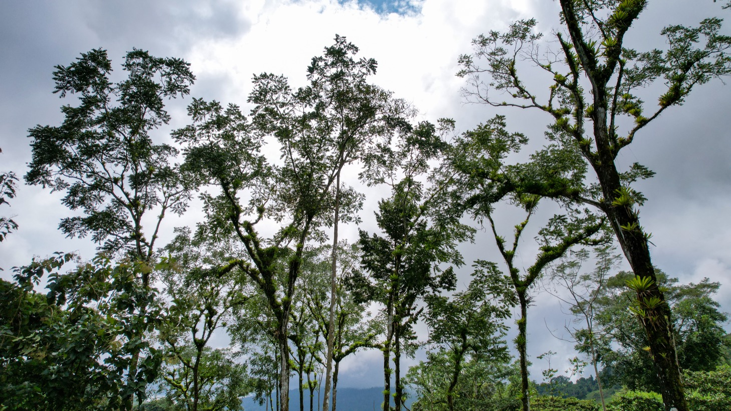 Secluded 4.5-Hectare Riverfront Oasis Near Hatillo & Dominical – Dos Bocas, Costa Rica selected