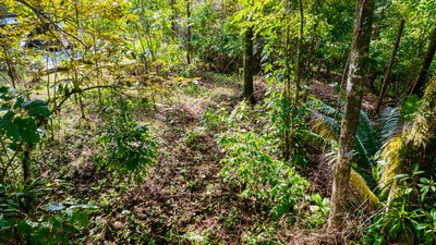 Exceptional Residential or Commercial Potential Property in Ojochal image 4