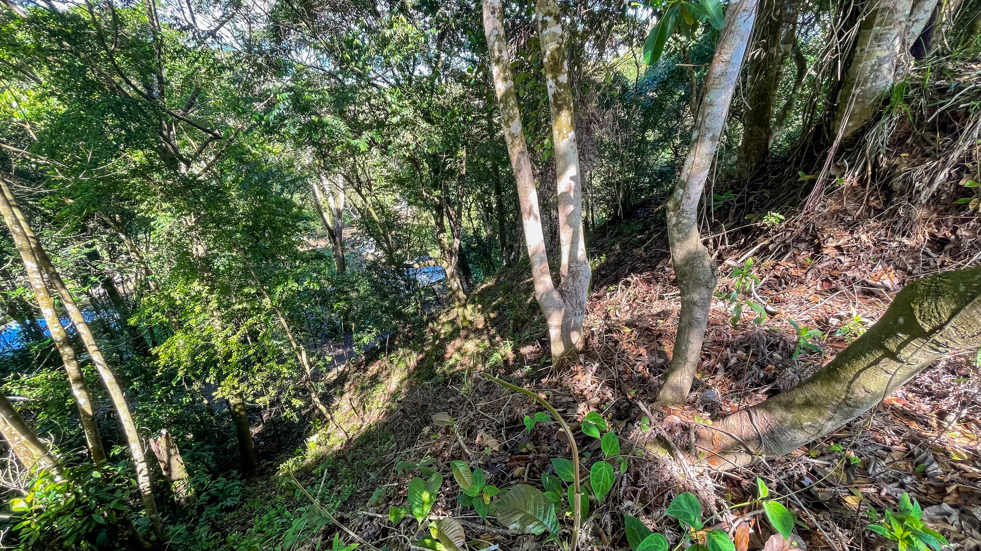 Tucked-Away Jungle Lot at the End of a Quiet Road — Ojochal, Costa Rica selected