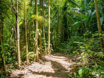 Riverfront Property with 3.26 Acres of Nature, Convenience, and Development Potential image 5