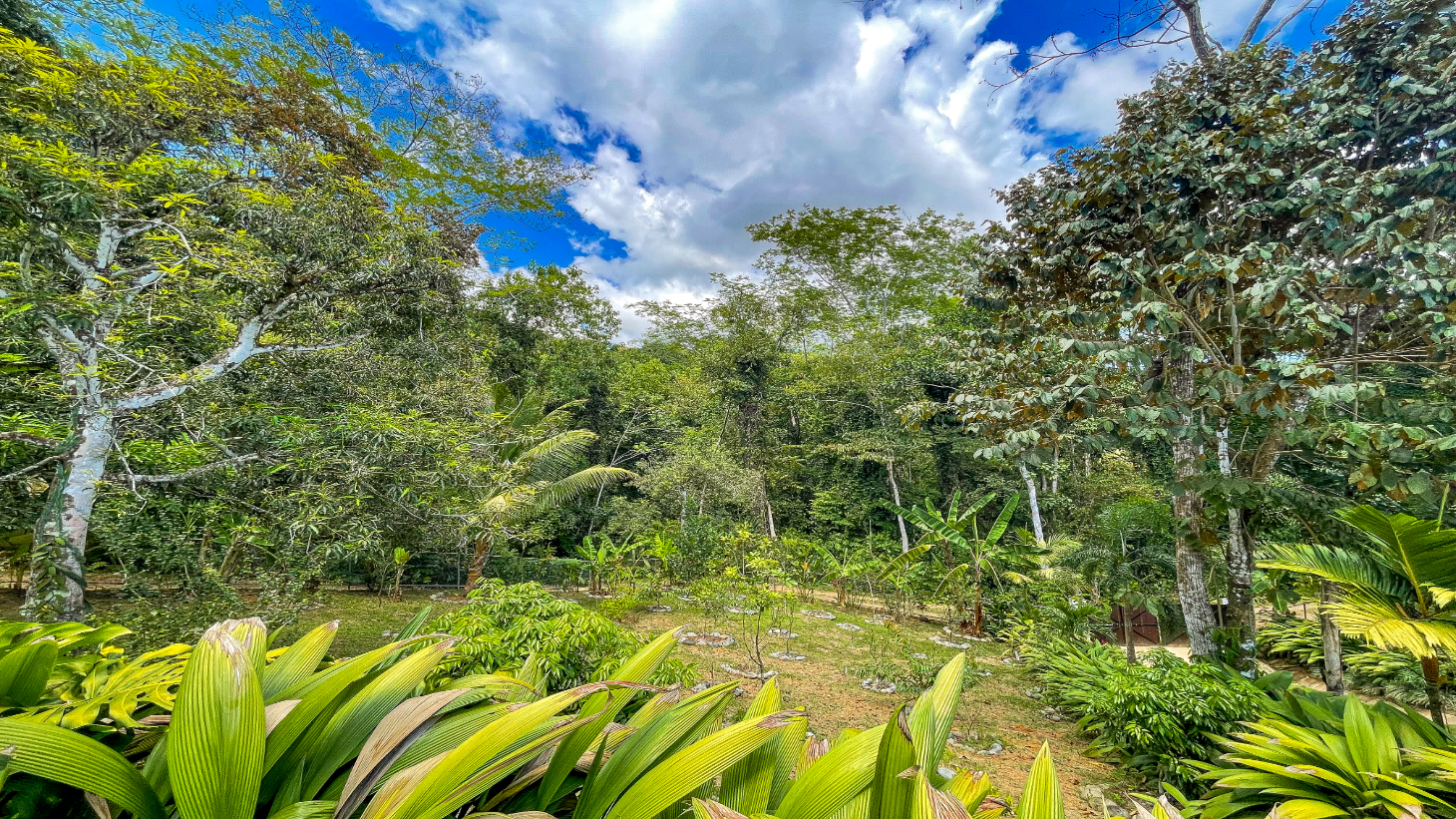 3 Bedroom Home With Ocean View Near Ojochal Tres Rios selected