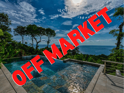 Luxurious Ocean View Villa at Terrazas de San Martin image 1