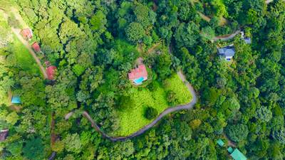 Selva Vista Estate – 5.9 Acres of Wild Beauty image 3
