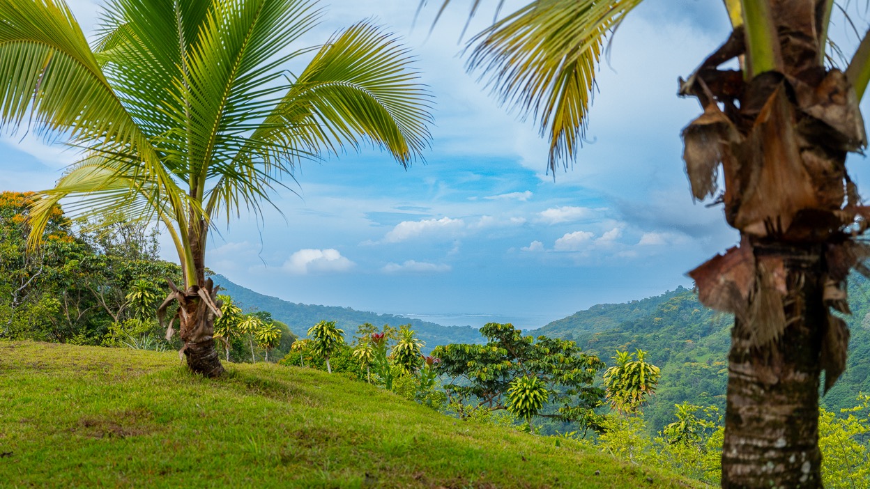 Ocean View Development Property with Waterfall Vista — 14.83 Acres in San Luis de Morete, Near Uvita selected