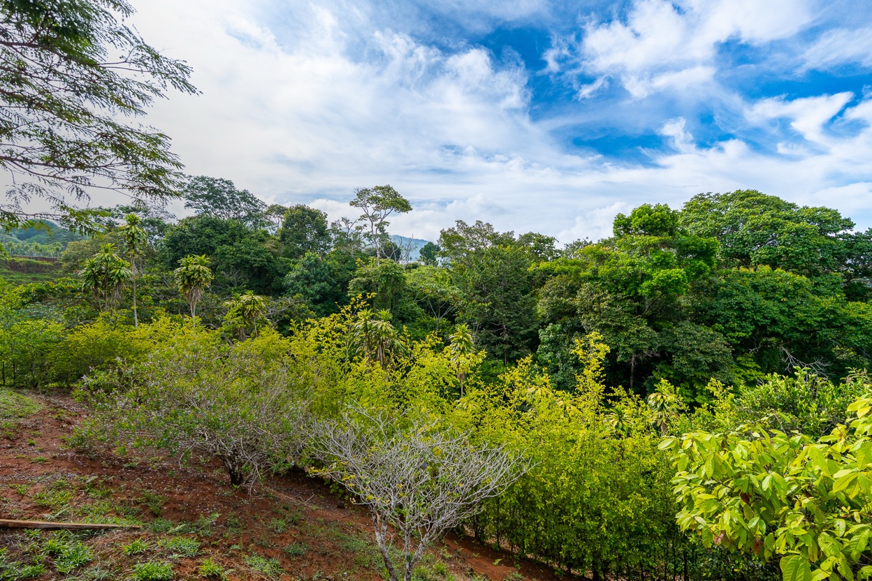Ocean View Development Property with Waterfall Vista — 14.83 Acres in San Luis de Morete, Near Uvita selected