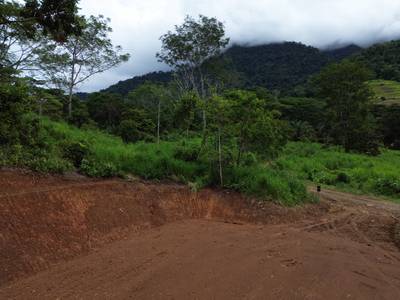 Discover Your Dream Lot at Caracara Ridge in Ojochal image 3