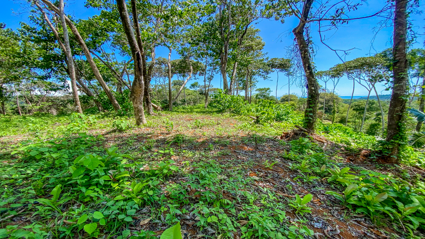 5.75 Acre Land for Sale in Ojochal | Ocean View Development Property selected