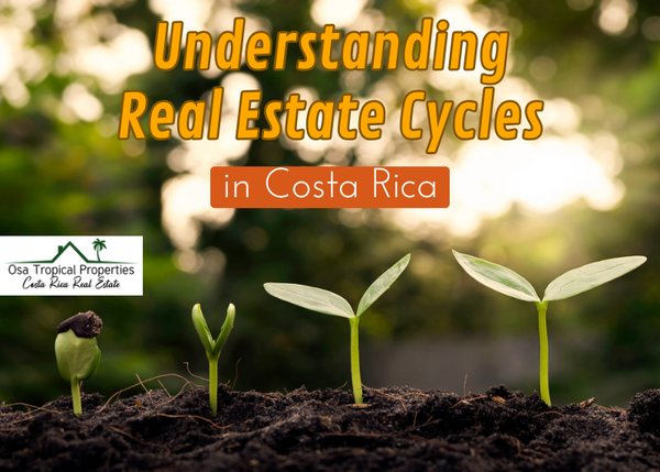 Understanding Real Estate Cycles: Insights from Costa Ballena in 2025