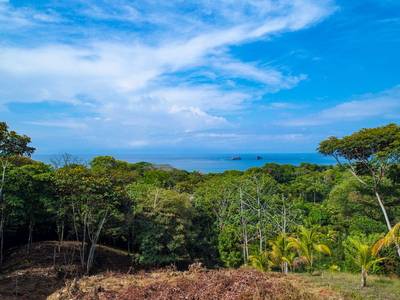 Prime Development Opportunity in Ballena – Commercial and Residential Zoning image 4