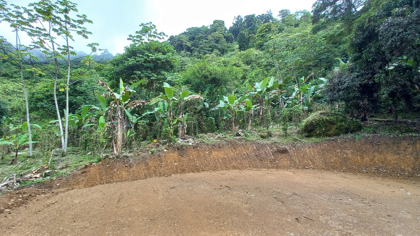 Mountain View Home Site with Seasonal Waterfall and Mature Fruit Trees selected