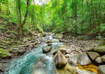 Wonderful Jungle Lot with a Crystal Mountain River Border in Ojochal image 4