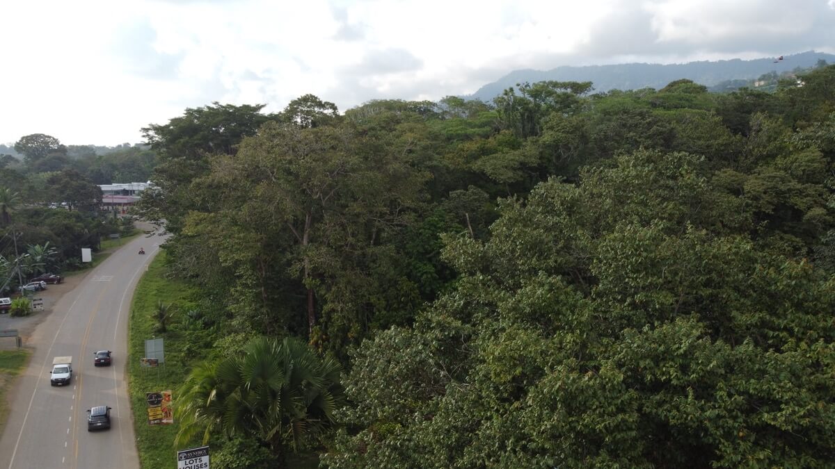 Prime Commercial Property In Uvita selected