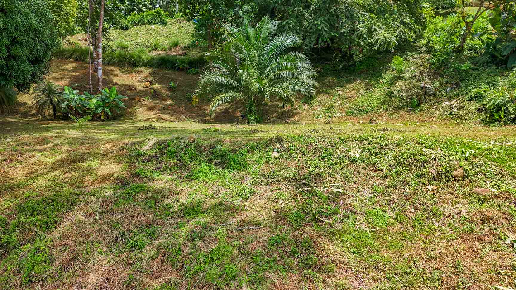 Large Uvita Lot with Whale’s Tail Ocean Views, Sunsets & Legal Water – Ready to Build selected