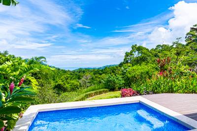 Move-In Ready Ocean View Home Surrounded by Nature image 1