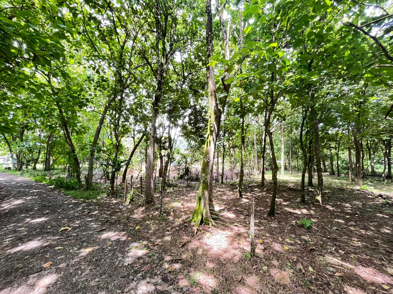 Prime 0.37-Acre Build-Ready Lot Steps from Marino Ballena National Park in Uvita selected