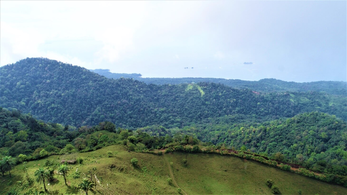 3 Spectacular Ocean View Farms in Uvita selected