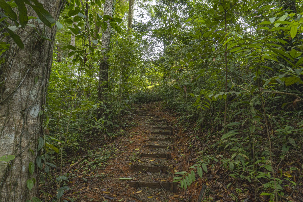 Serene Costa Rican Jungle Retreat with Waterfalls & Wildlife selected