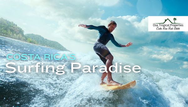 Surfing Paradise: Costa Ballena, South Pacific Costa Rica