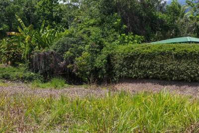 Ready-to-Build, Centrally Located 0.38-Acre Ojochal Lot with Mountain Views image 4