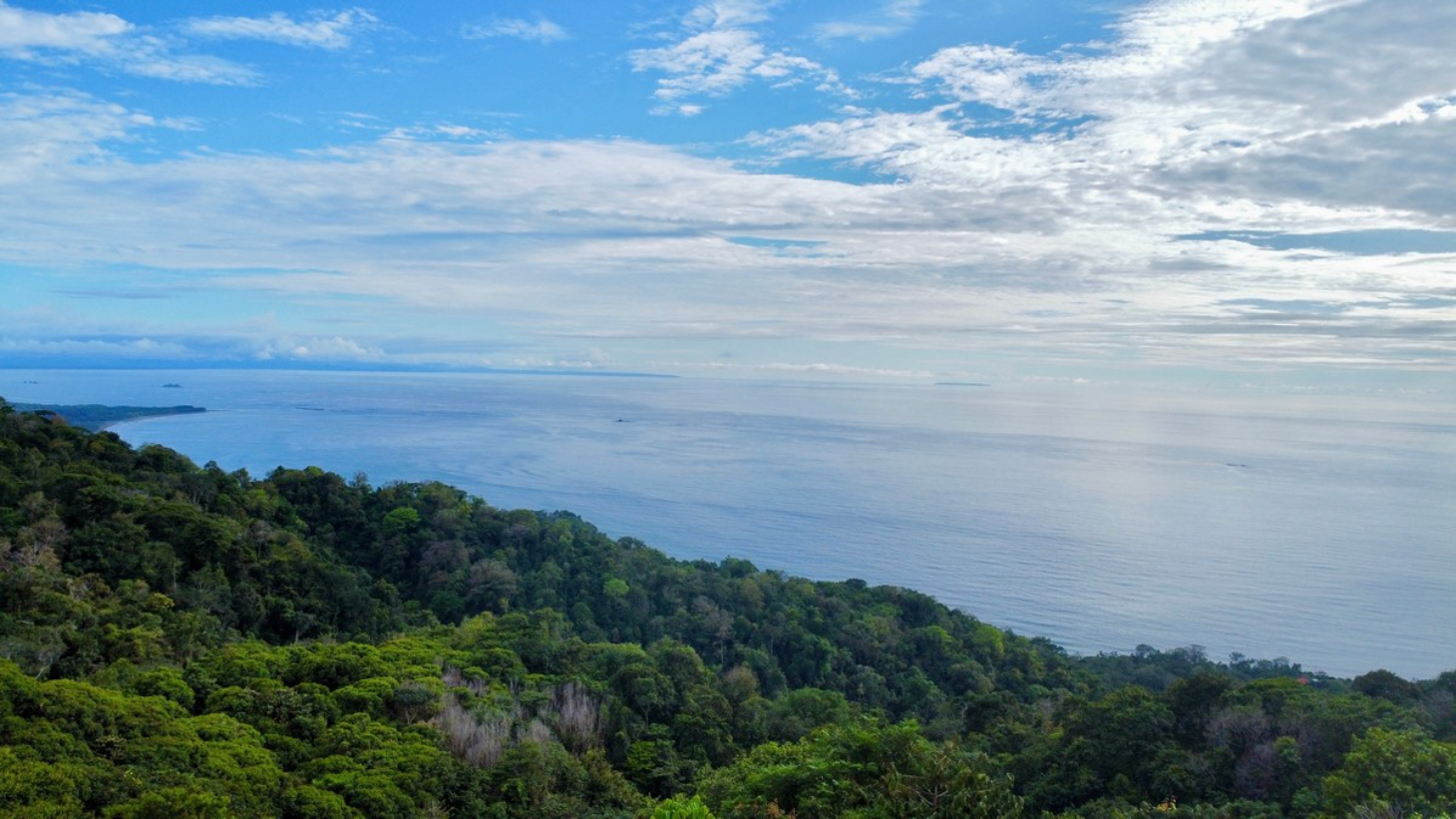 2 ACRES – 2 Bedroom Whales Tale Ocean View Home In Costa Verde Estates Gated Community selected