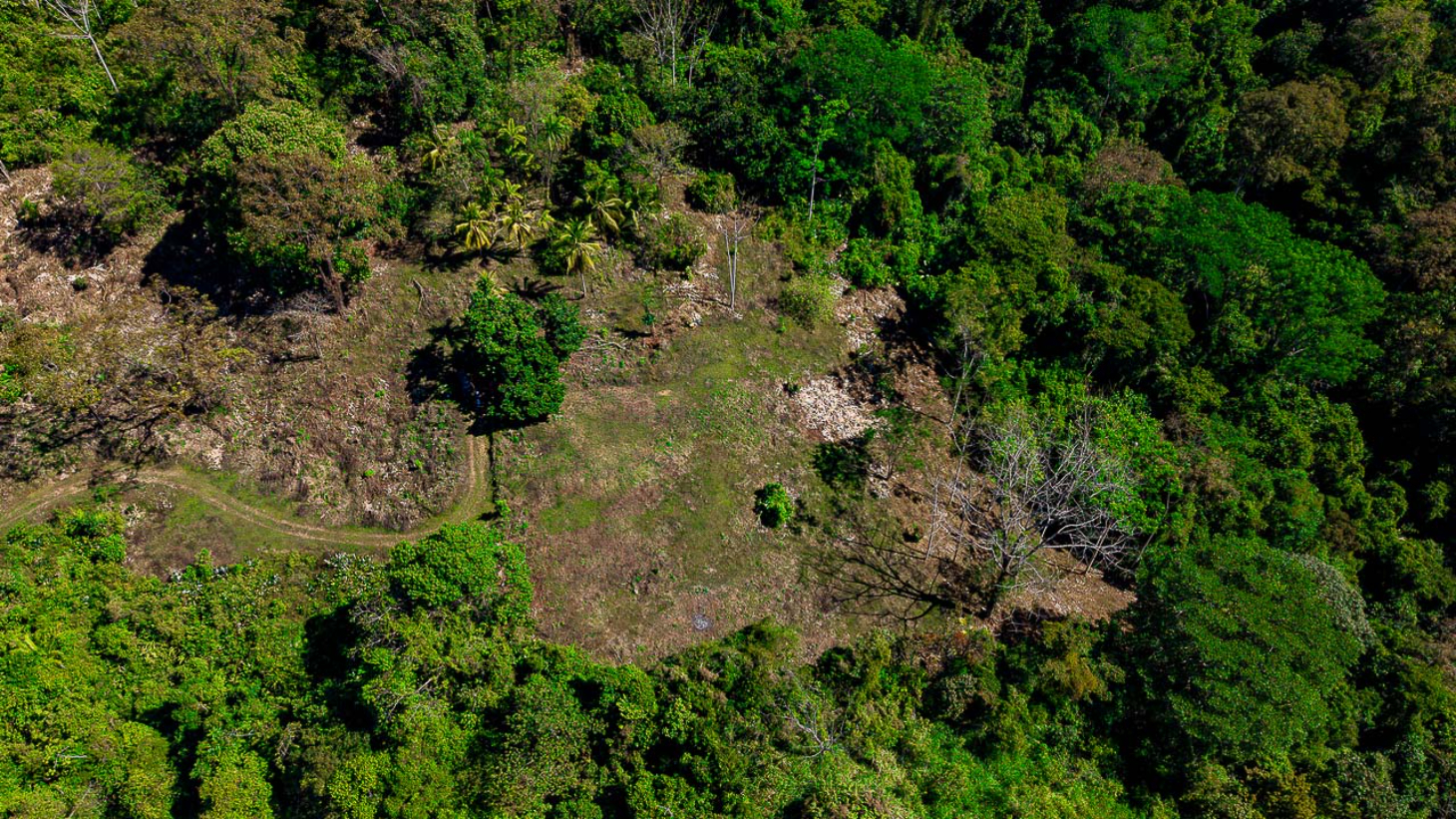 Whale Tail Views Luxury Waterfall Farm selected