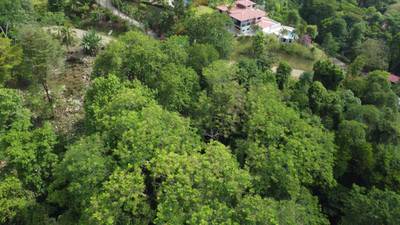 1-Acre Ready-to-Build Jungle Lot in Ojochal – A Private Oasis in Phase 8 image 3
