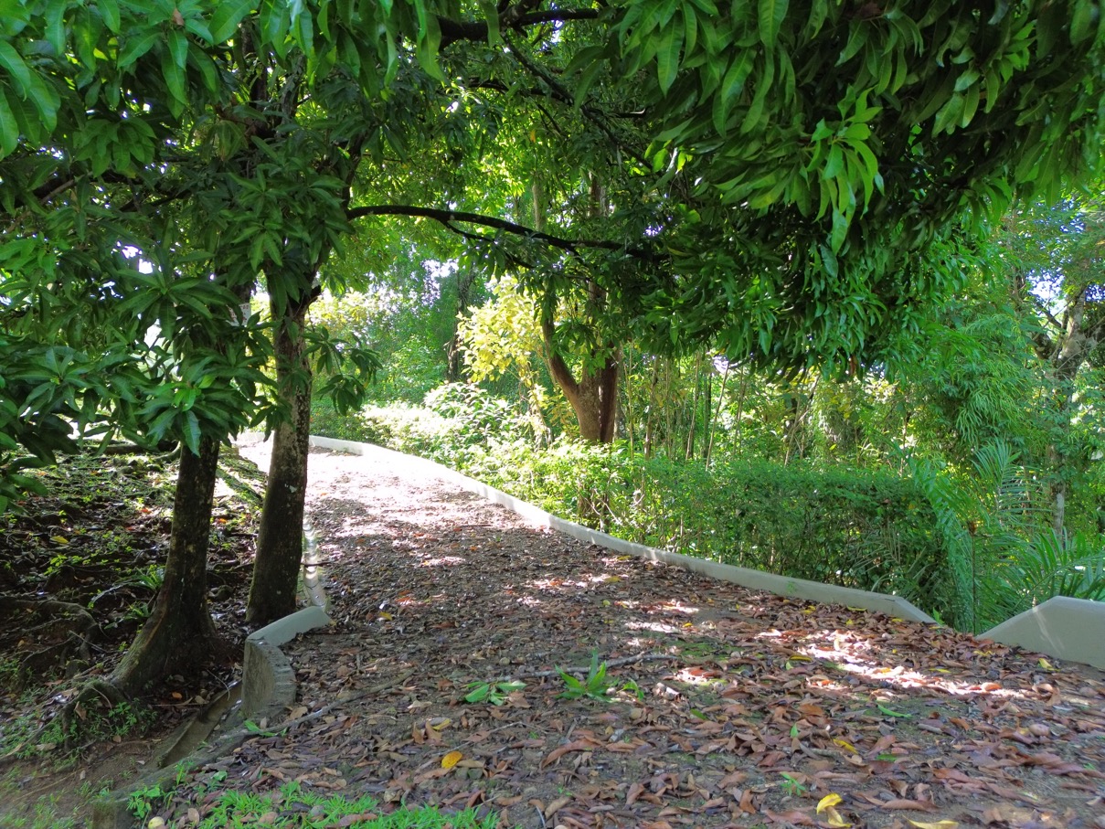 Spectacular Ocean View Lot in Ojochal (Calle Tucan) selected