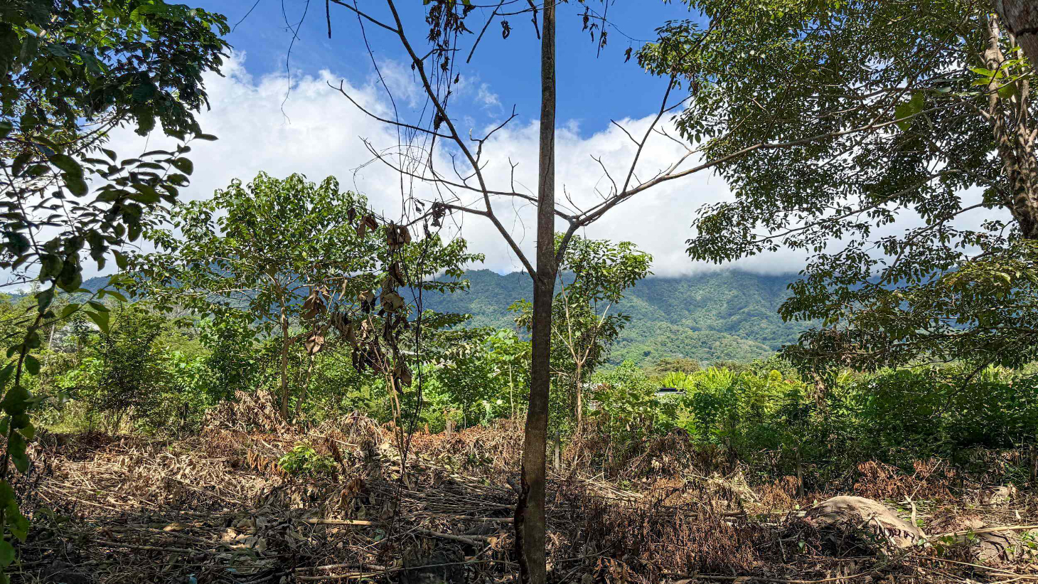 Easy-Access Building lot with Paved Road Access & All Utilities Available on a Flat Half-Acre in Ojochal Costa Rica selected