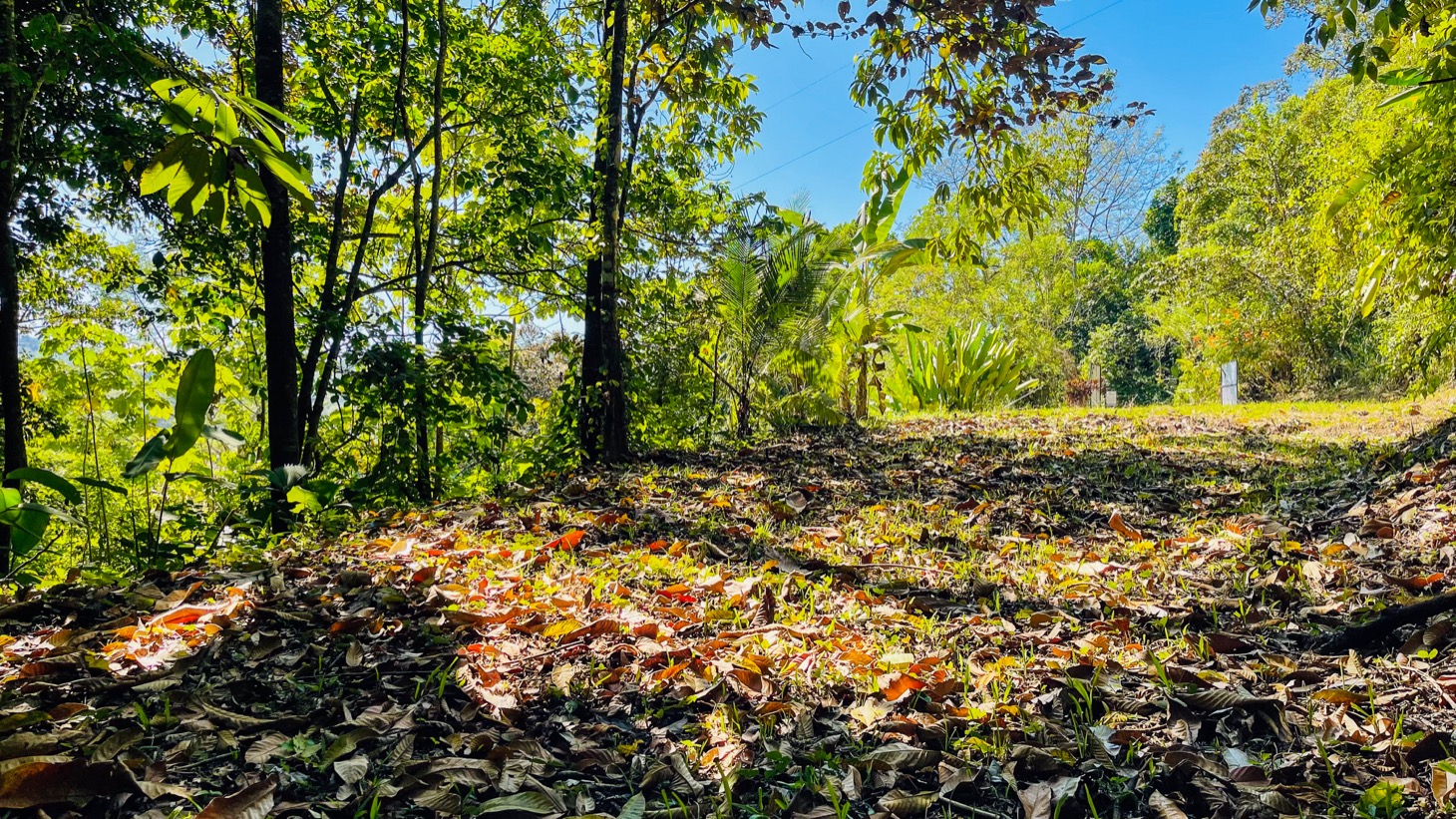 Private Mountain Sanctuary in Costa Rica awaits selected