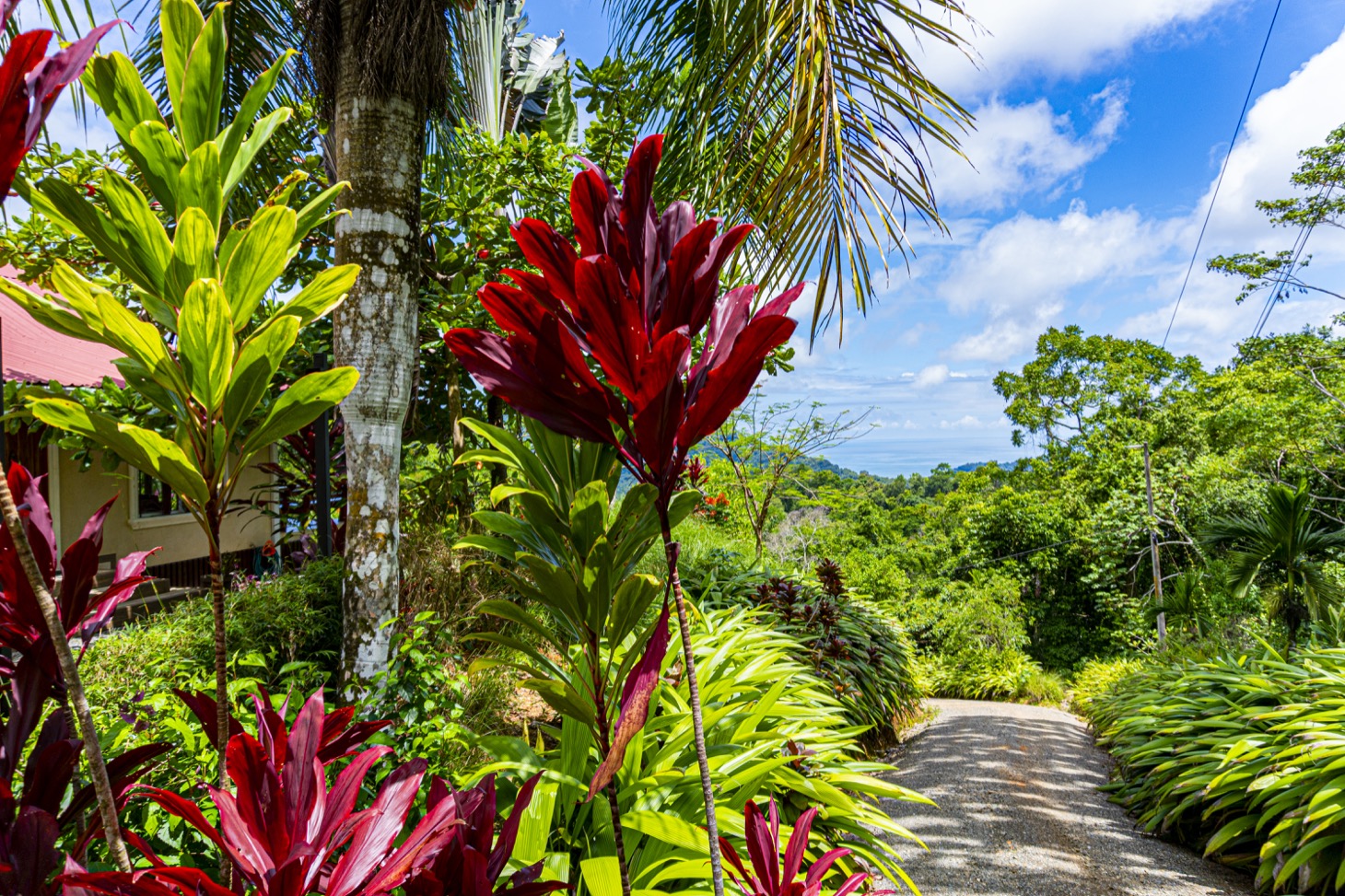 Move-In Ready Ocean View Home Surrounded by Nature selected