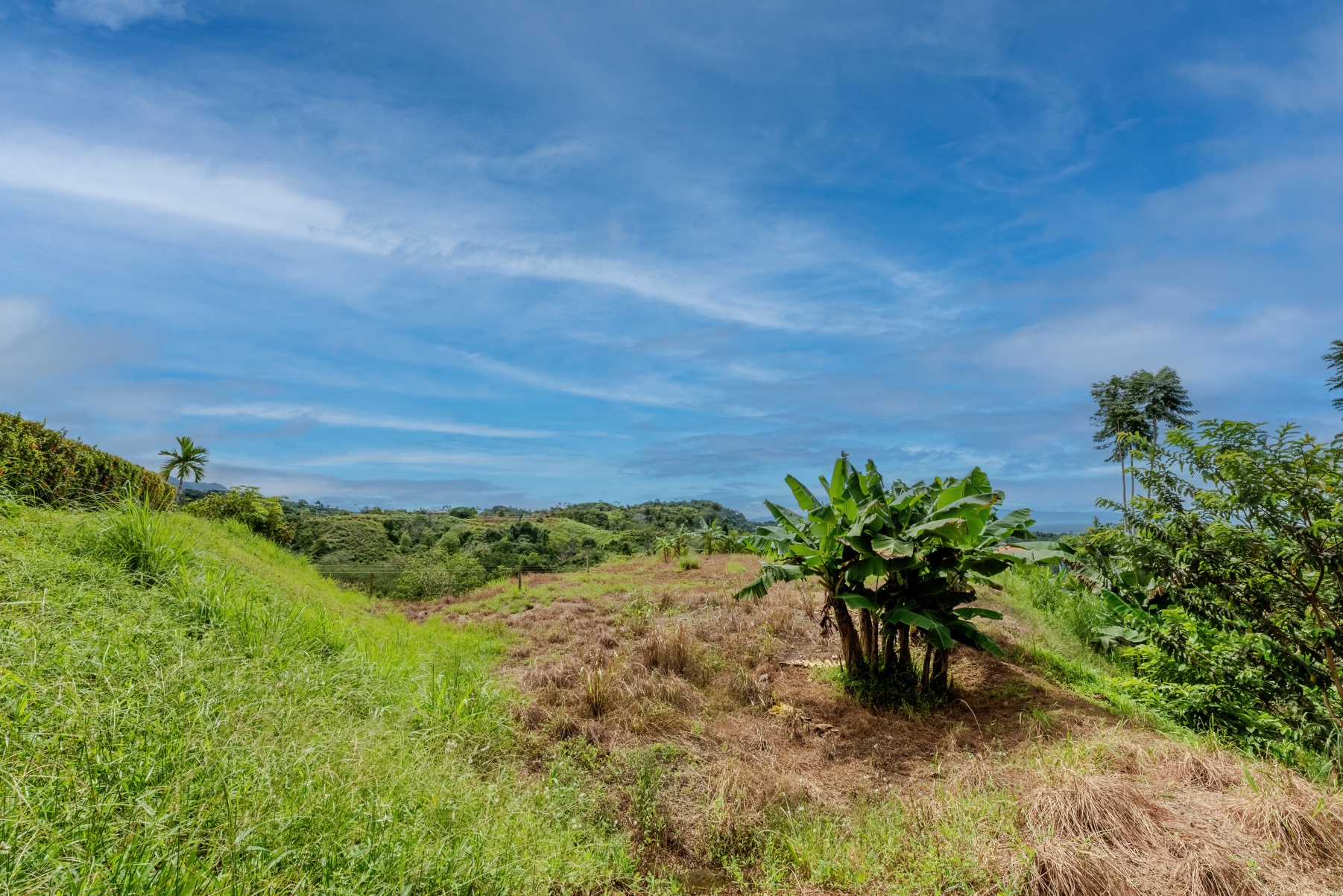 Ocean View Villa with Pool on 1.3 Acres in Costa Rica selected