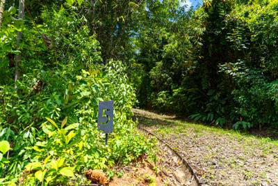 Secluded 2.9 Acre Jungle Lot with Mountain Views in San Buenas image 2