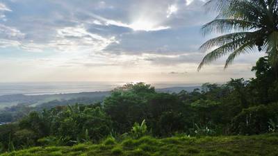 3.57-Acre Ocean View Estate Parcel with Creek & Sunset Exposure Near Dominical image 3