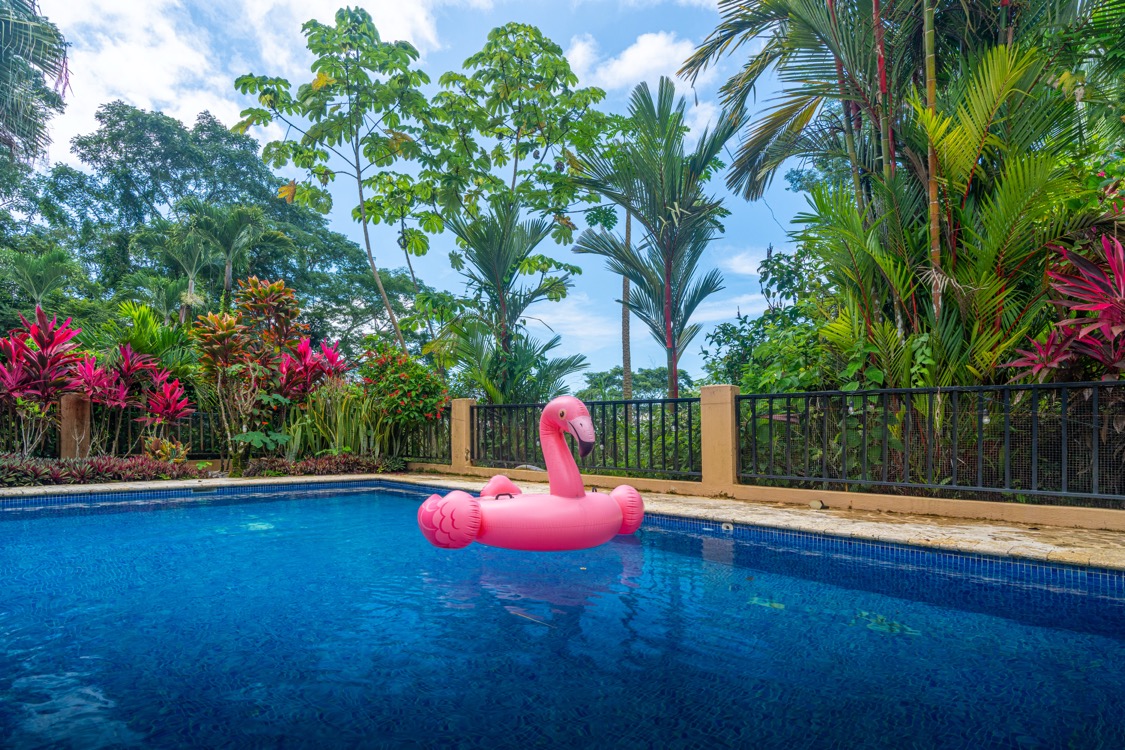 Move-In Ready Jungle Home in Gated Community selected