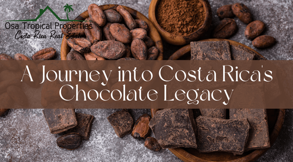 From Ancient Treasures to Modern Delights: A Journey into Costa Rica’s Chocolate Legacy