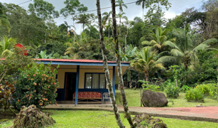 2.9 ACRES – Tons of Fruit Trees, 3 Bedroom Tico Home Plus Bodega In Tinamastes selected