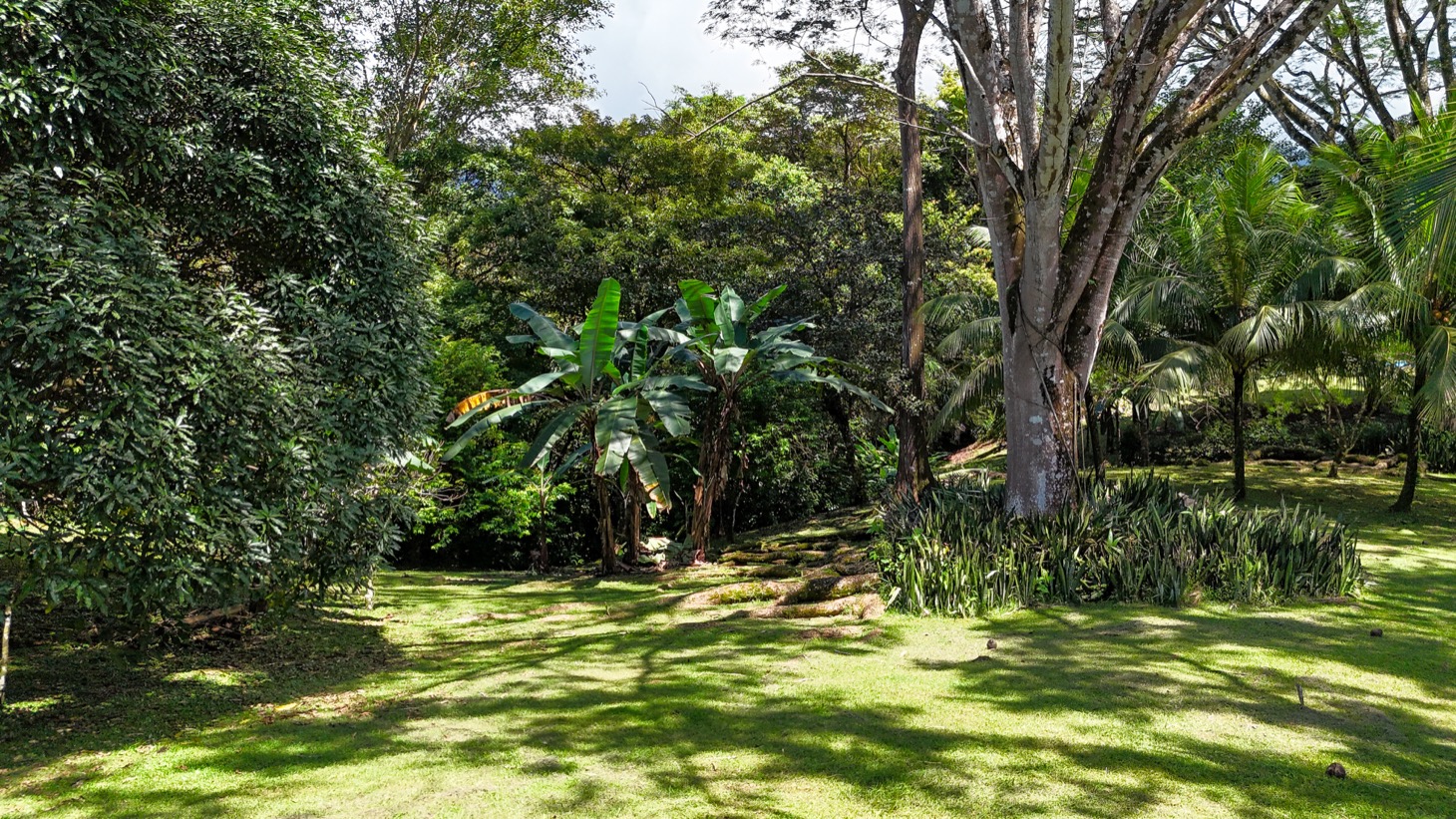 Prime Development Opportunity in Desirable Ojochal Location selected