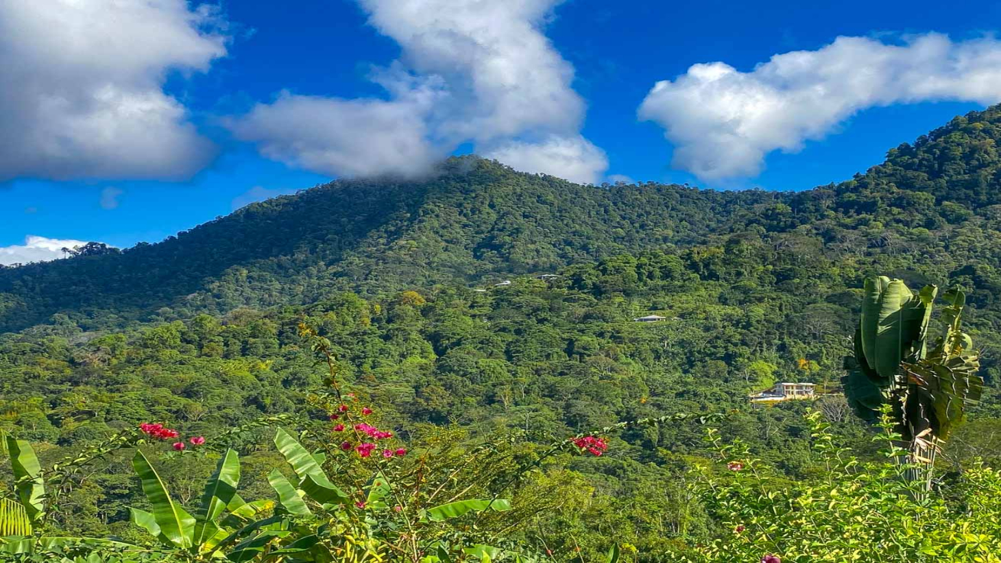 Ocean,Jungle & Mountain View Home in Ojochal | Protected Jungle Setting selected