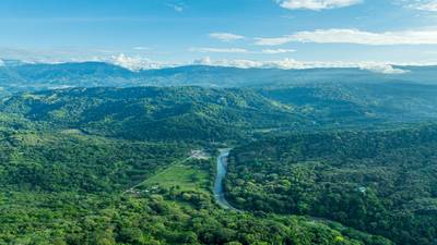 Rare 86-Acre Ocean View Estate Bordering Hacienda Barú – A Unique Opportunity for Conservation and Development image 2